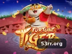 53rr Login - 53rr 1